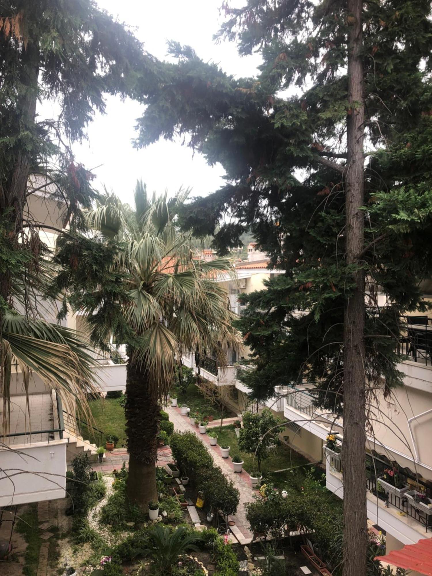 Miminllari 1 Apartment *